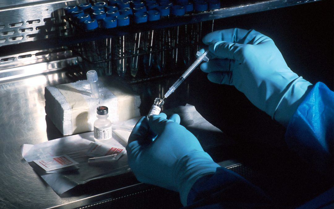 Pallas: Zukunftsbranchen brauchen eine Zukunft in Dresden